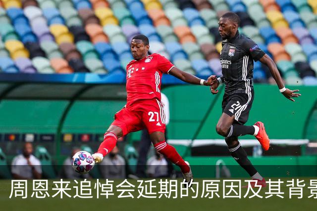 周恩来追悼会延期的原因及其背景分析